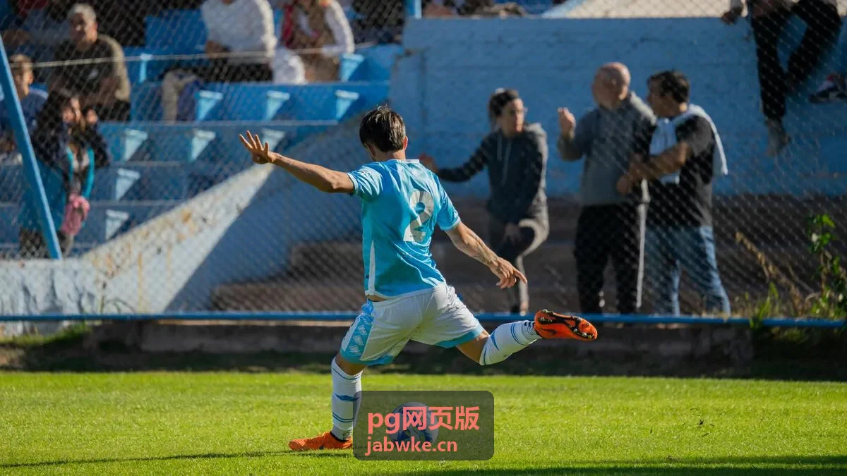 pg网页版标准访问指引流程图