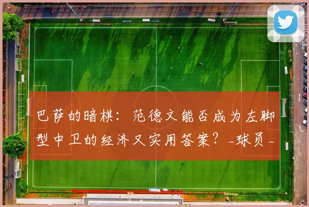 巴萨的暗棋：范德文能否成为左脚型中卫的经济又实用答案？_球员_热刺_巴斯托尼都