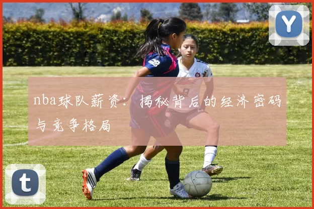 nba球队薪资：揭秘背后的经济密码与竞争格局