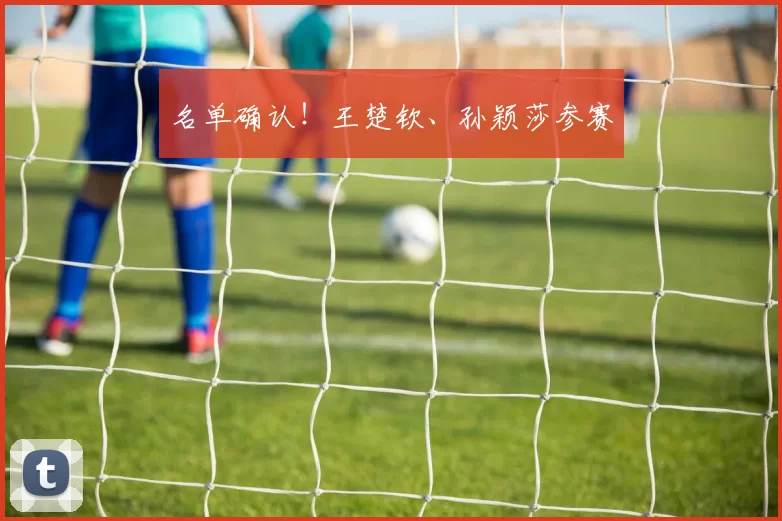 名单确认！王楚钦、孙颖莎参赛