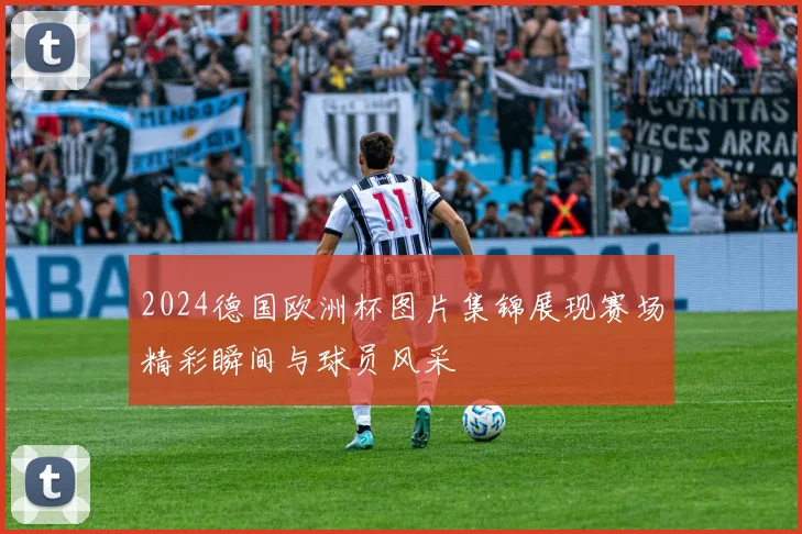 2024德国欧洲杯图片集锦展现赛场精彩瞬间与球员风采